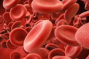 Oncologie Médicale et Hématologie